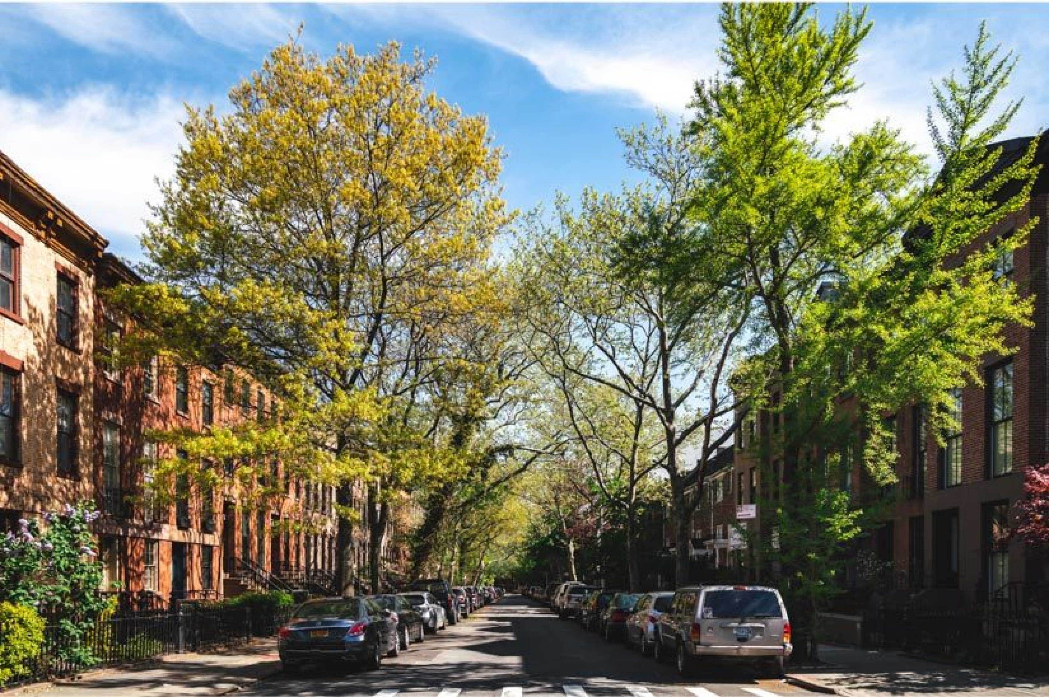 Cobble Hill Third